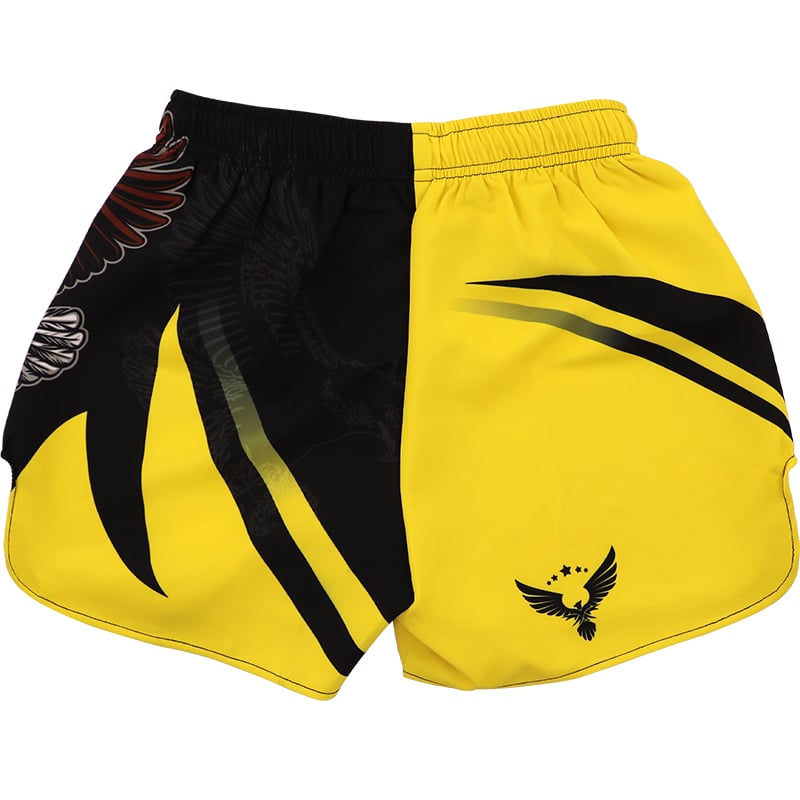 MMA Quick Dry Training Shorts and Suit Set